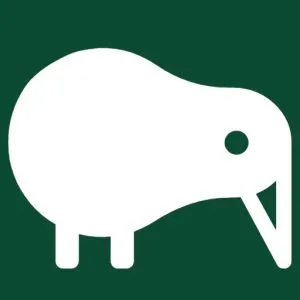 Apinion - web&marketing logo