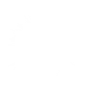 Vision Film ApS logo
