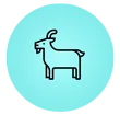 Shave the Goat ApS logo