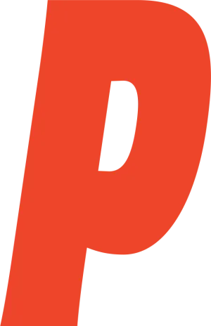 Pandang Studio ApS logo