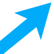 RAYDIA A/S logo