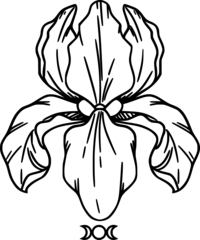 NC Create logo