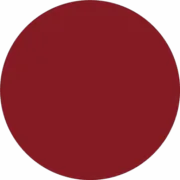 Flair Film ApS logo